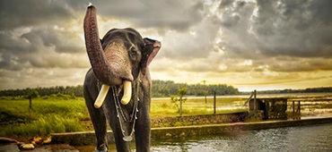 affordable interior design kochi